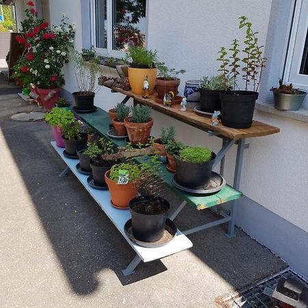 Ferienwohnung Namaste 랑게나르겐 외부 사진