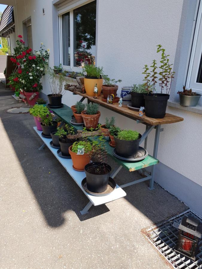 Ferienwohnung Namaste 랑게나르겐 외부 사진